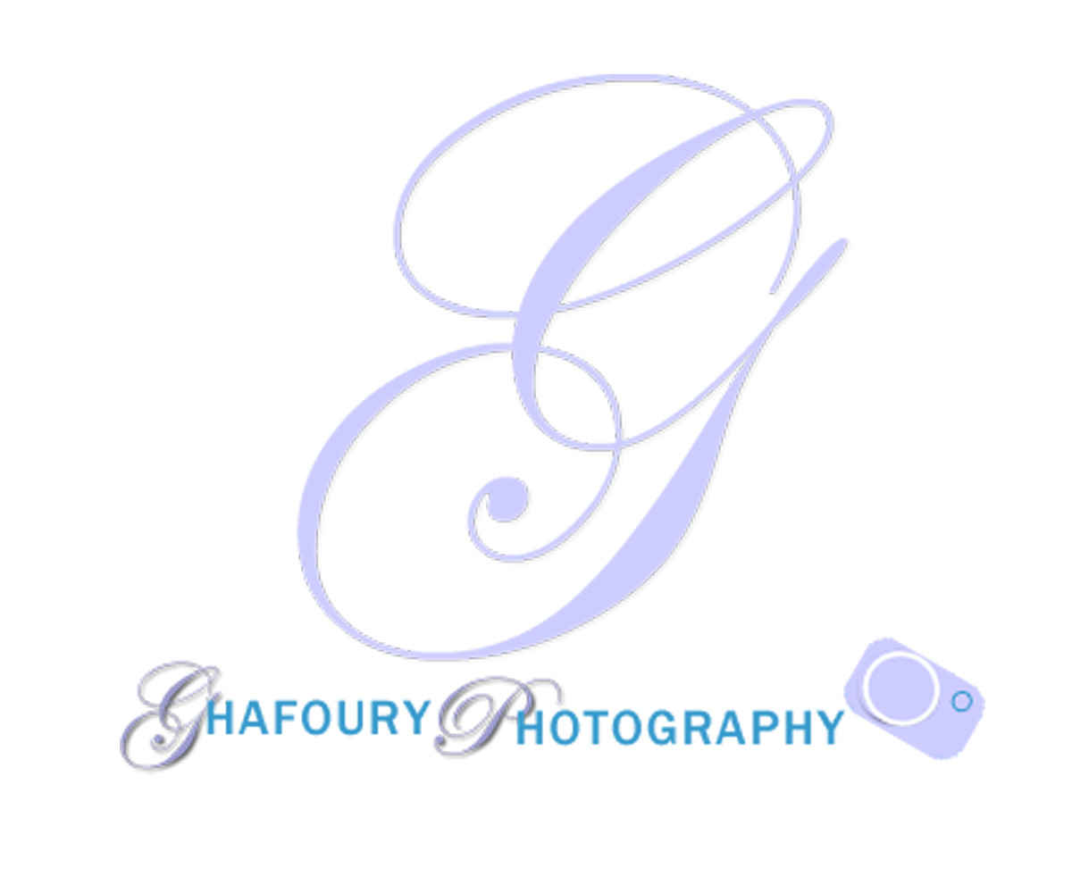 Logo Design by Shannon-2014 for this project | Design #3010002