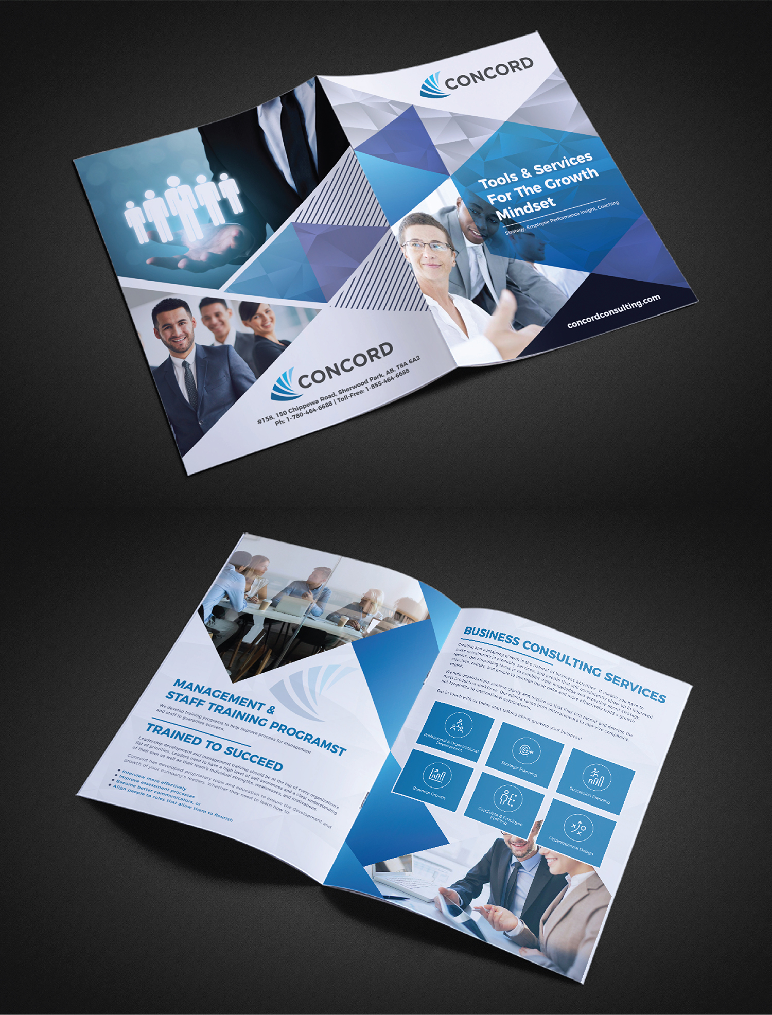 Brochure Design by Deziners Zone for Concord Consulting | Design #24764363