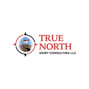 Logo Design by Nguyenthetao