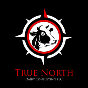 Logo Design by FK Design