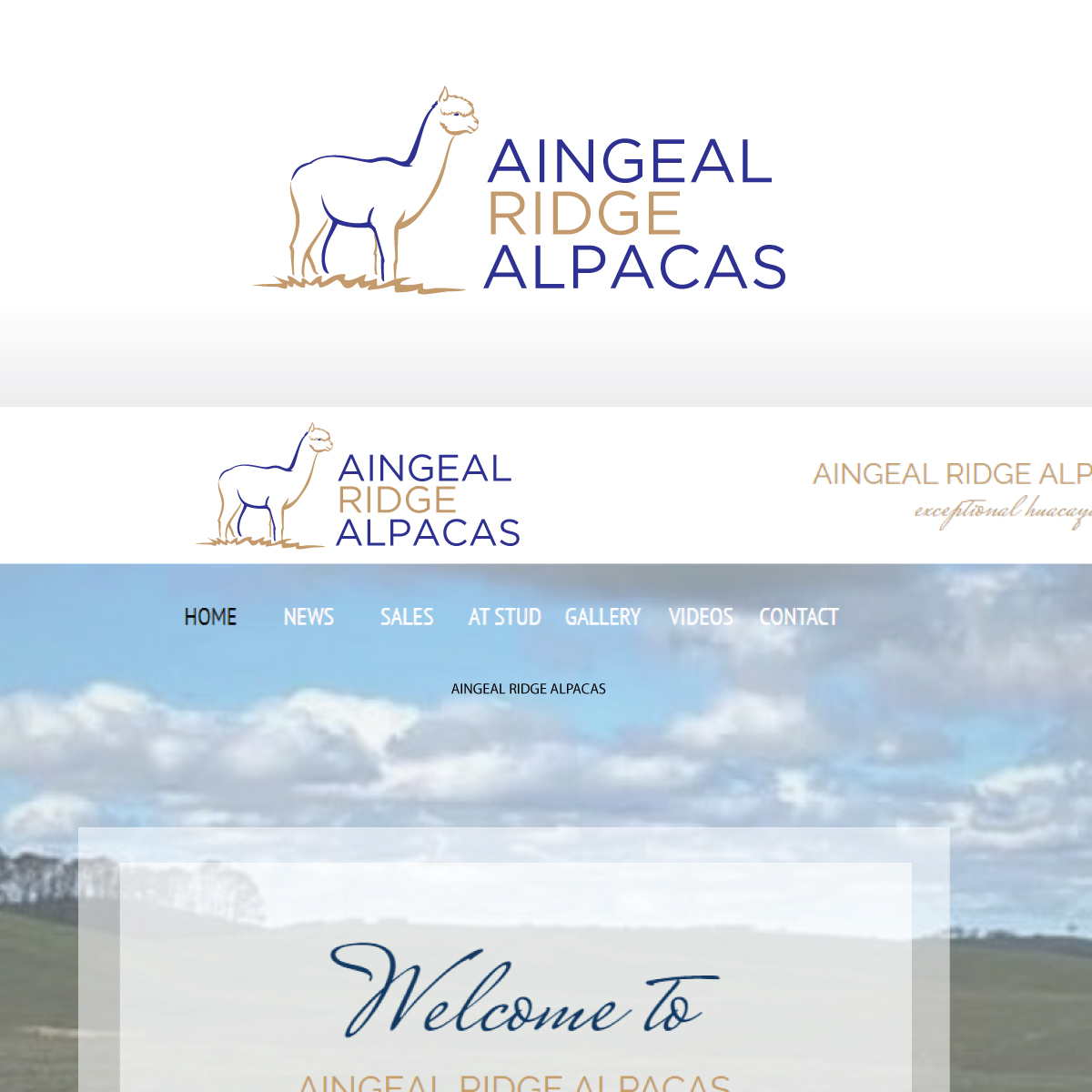 Logo Design by prodesigns99 for Aingeal Ridge Alpacas | Design #24769401