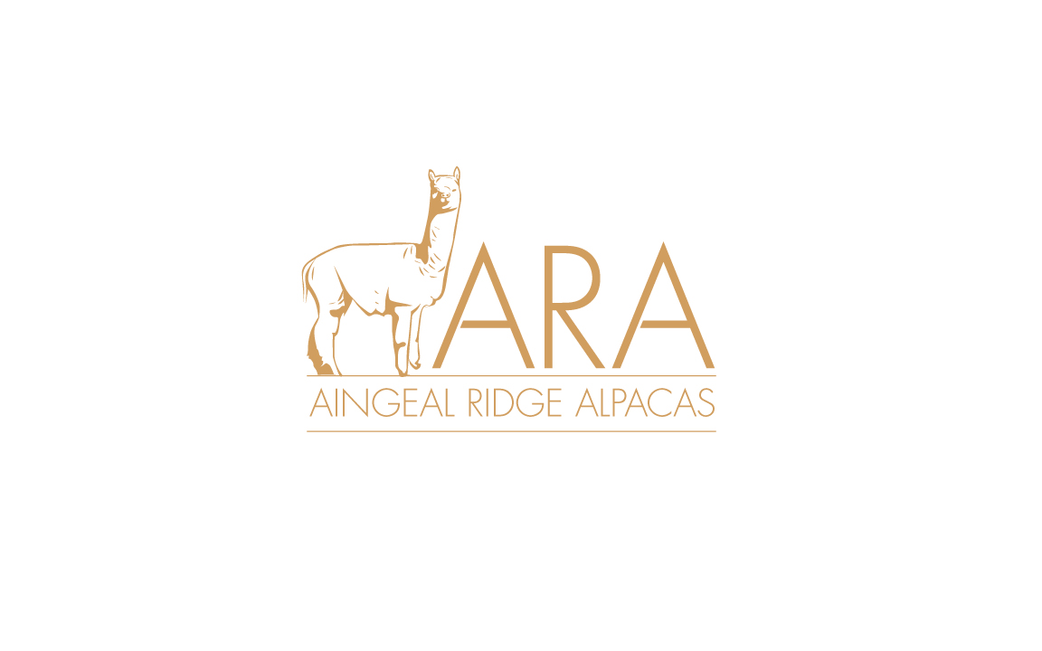 Logo Design by GODDREAMCREATION for Aingeal Ridge Alpacas | Design #24769424