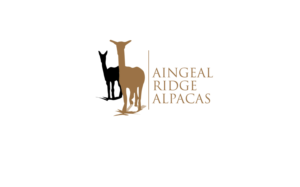 Logo Design by GODDREAMCREATION for Aingeal Ridge Alpacas | Design: #24769426
