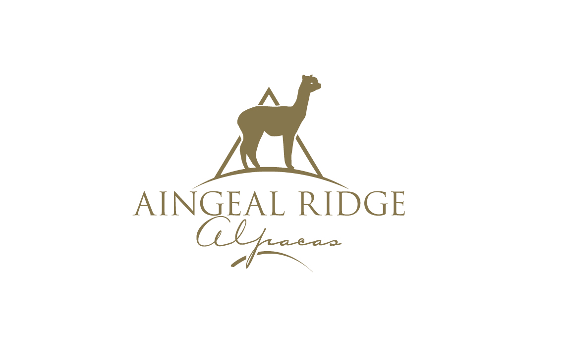 Logo Design by GODDREAMCREATION for Aingeal Ridge Alpacas | Design #24771078