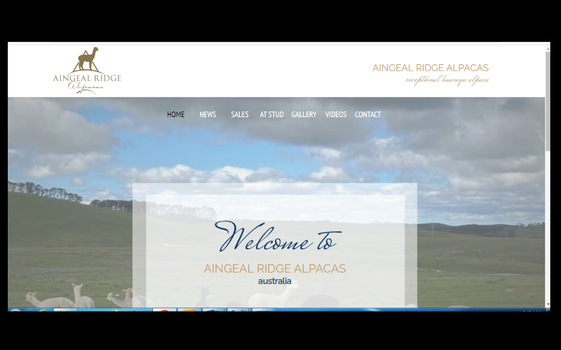 Logo Design by GODDREAMCREATION for Aingeal Ridge Alpacas | Design #24771079