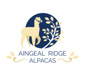 Logo Design by Sophie Birkin