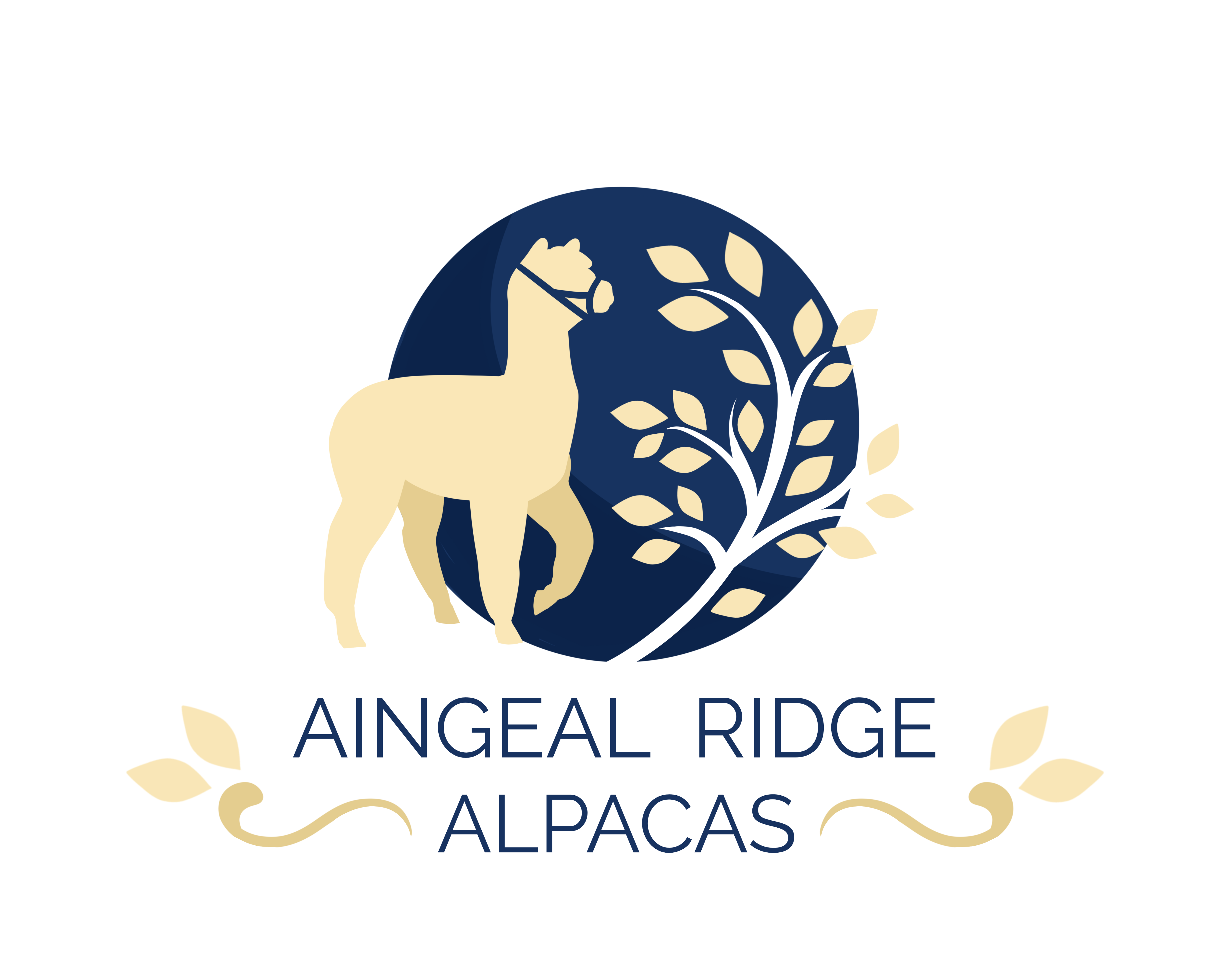 Logo Design by Sophie Birkin for Aingeal Ridge Alpacas | Design #24773606