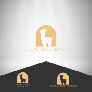 AINGEAL RIDGE ALPACAS | Logo Design by Gerald Design 3