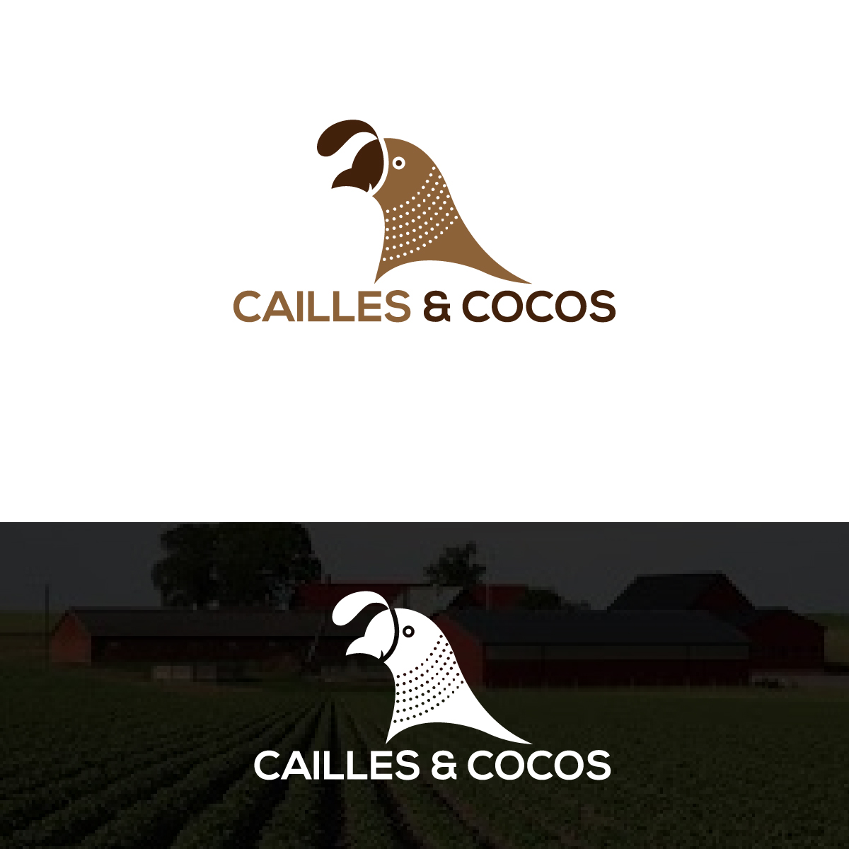 Diseño de Logo por Deziners Zone para este proyecto | Diseño #24810292