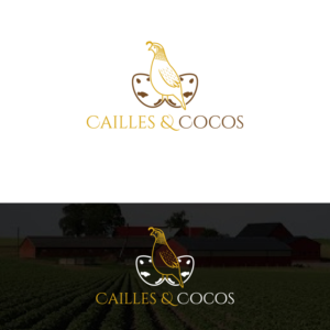 Diseño de Logo por Deziners Zone