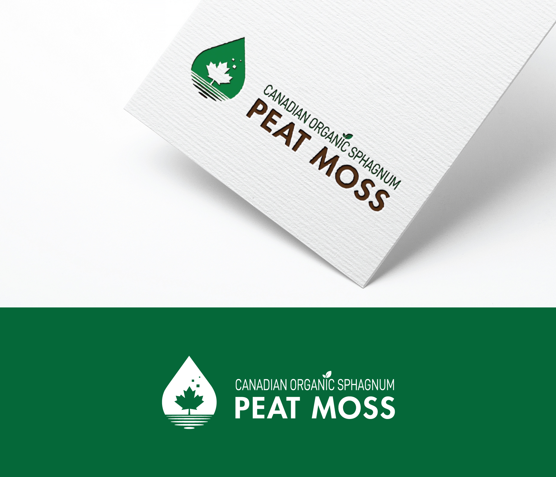 Logo Design by hoaihoai for Sweet Peat | Design #25295289