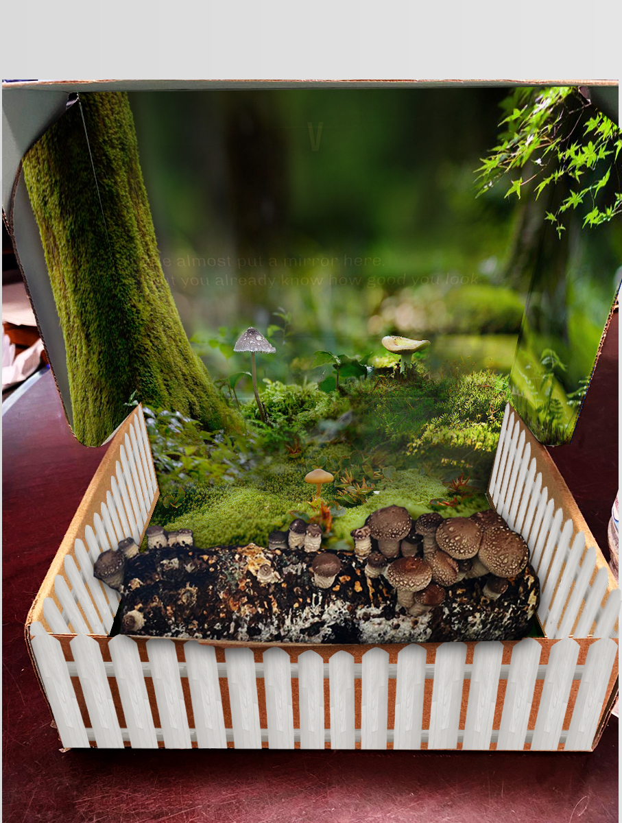 Packaging Design by rug for this project | Design #24868279
