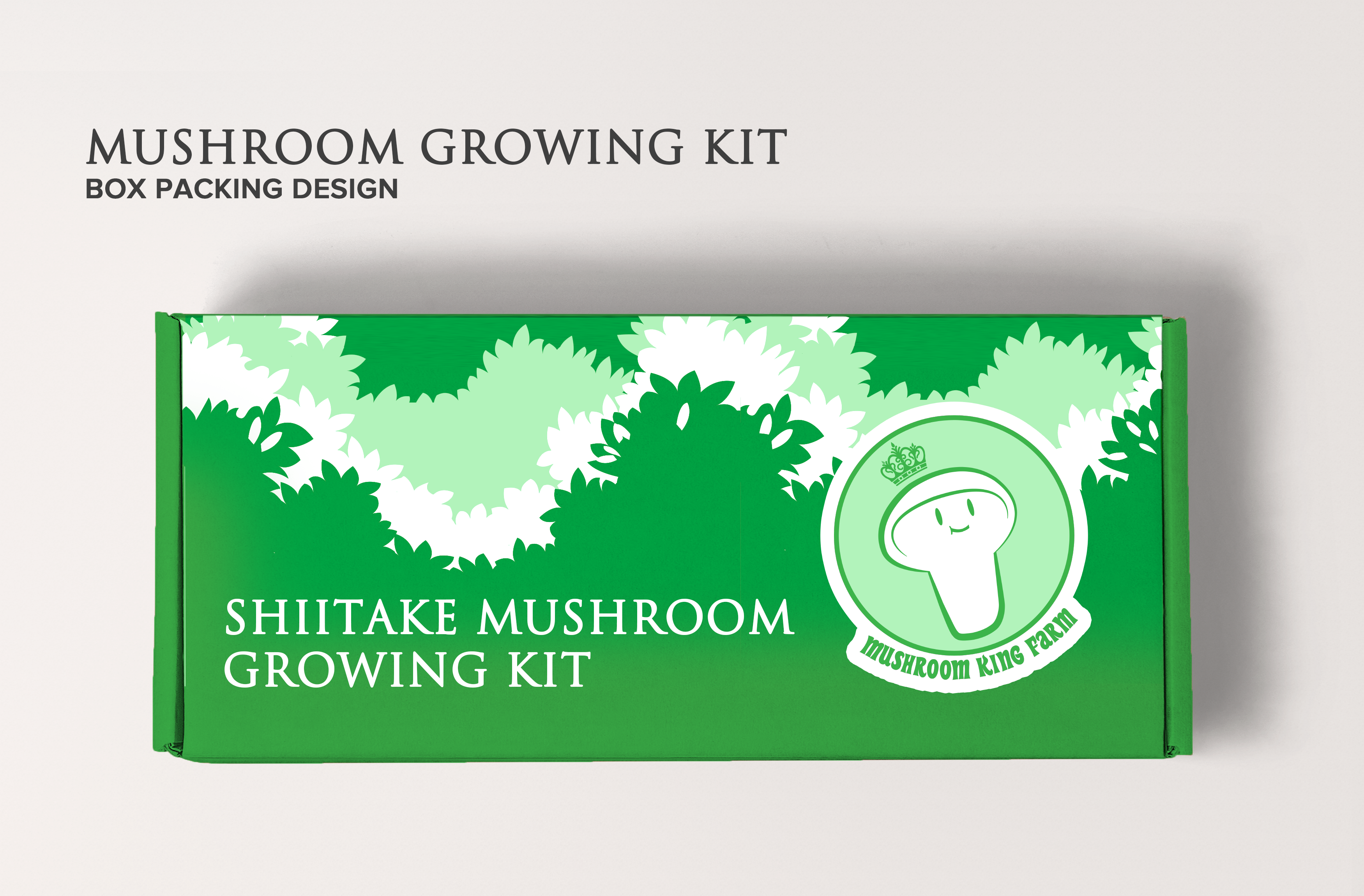 Packaging Design by O'ra for this project | Design #24867014