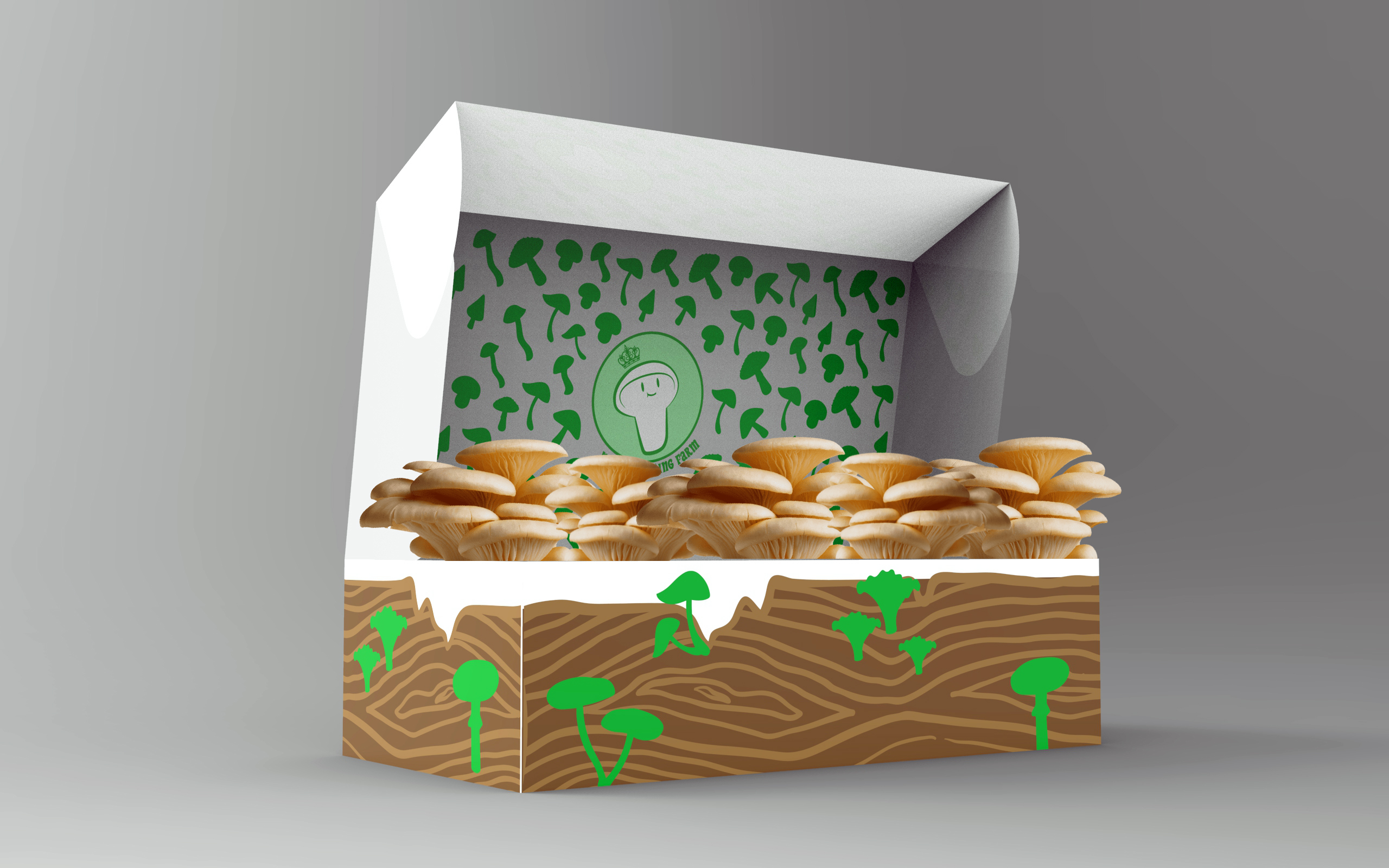 Packaging Design by davidsantacruz7 for this project | Design #24826031