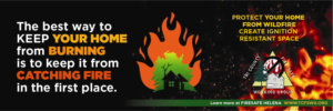 Graphic Design by avi's for this project | Design: #24872696