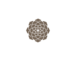 Logo-Design von Mohamed 65 für dieses Projekt | Design: #25088285