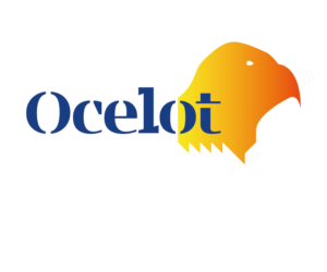 Logo Design by Bora