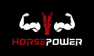Logo Design by CKG for HORSEPOWER | Design #24819890