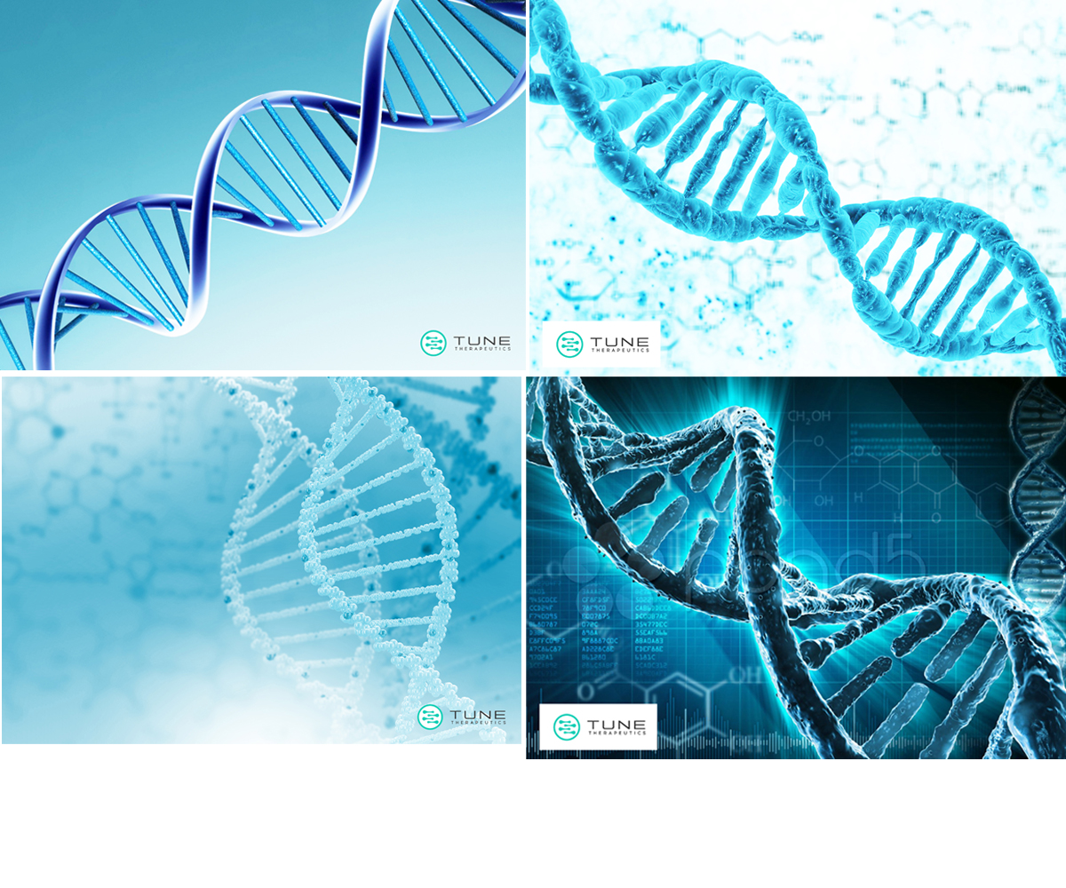 Diseño de PowerPoint por edirectoryprogram para este proyecto | Diseño #24869837