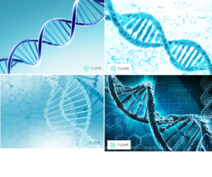 PowerPoint Design by edirectoryprogram for this project | Design #24869837