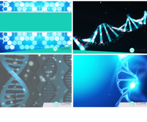 PowerPoint Design by edirectoryprogram for this project | Design: #24874482