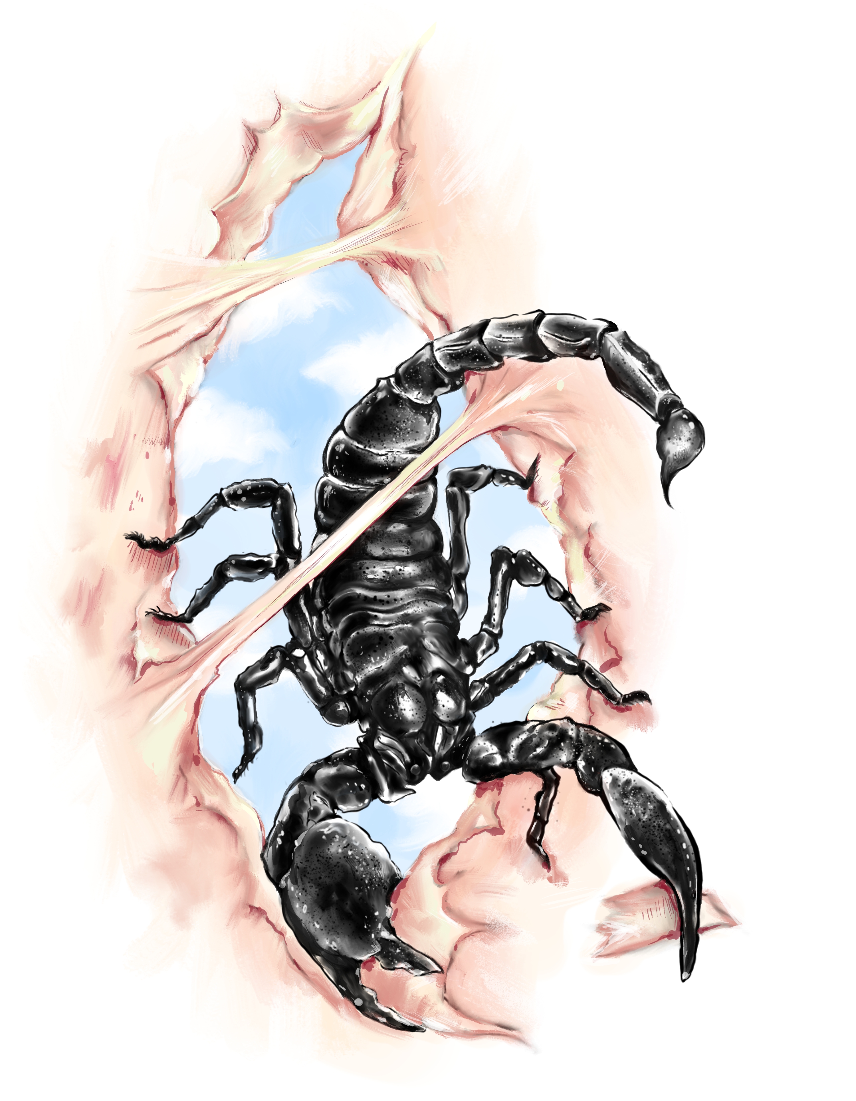 Tattoo Design by migspnz for this project | Design #24906856