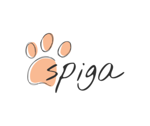 Logo-Design von alextdesigner für dieses Projekt | Design: #24872134