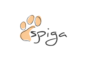 Logo Design by alextdesigner