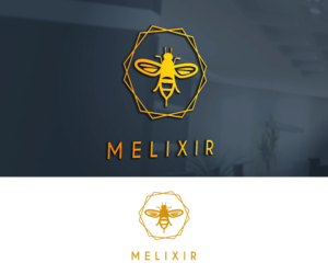 Melixir | Logo Design by GoodTimes$$$