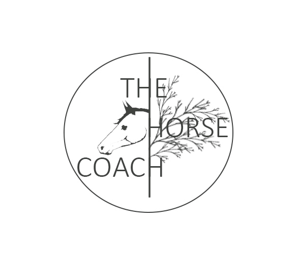 Logo Design by Graphia Design for this project | Design #24857235