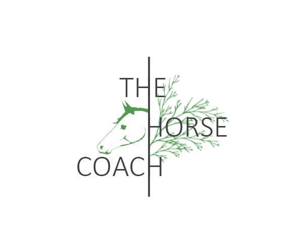 Logo Design by Graphia Design for this project | Design #24857239