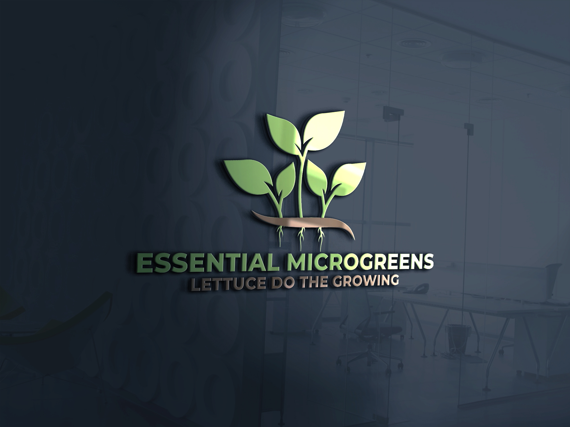 Logo Design by Nova Tech Solutions for this project | Design #24849780
