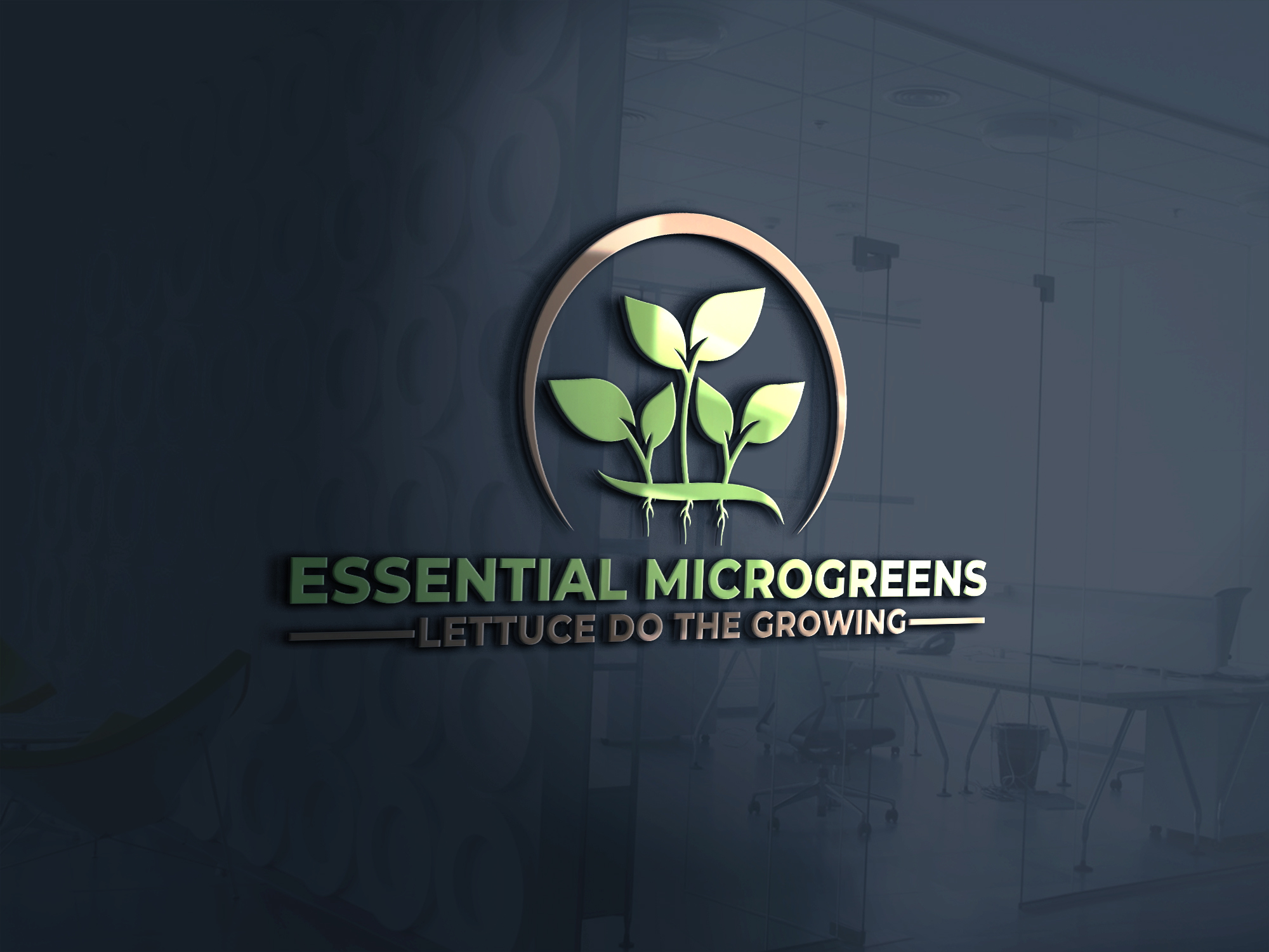 Logo Design by Nova Tech Solutions for this project | Design #24849839