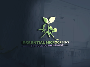 Design de Logo par Nova Tech Solutions pour ce projet | Design : #24850441