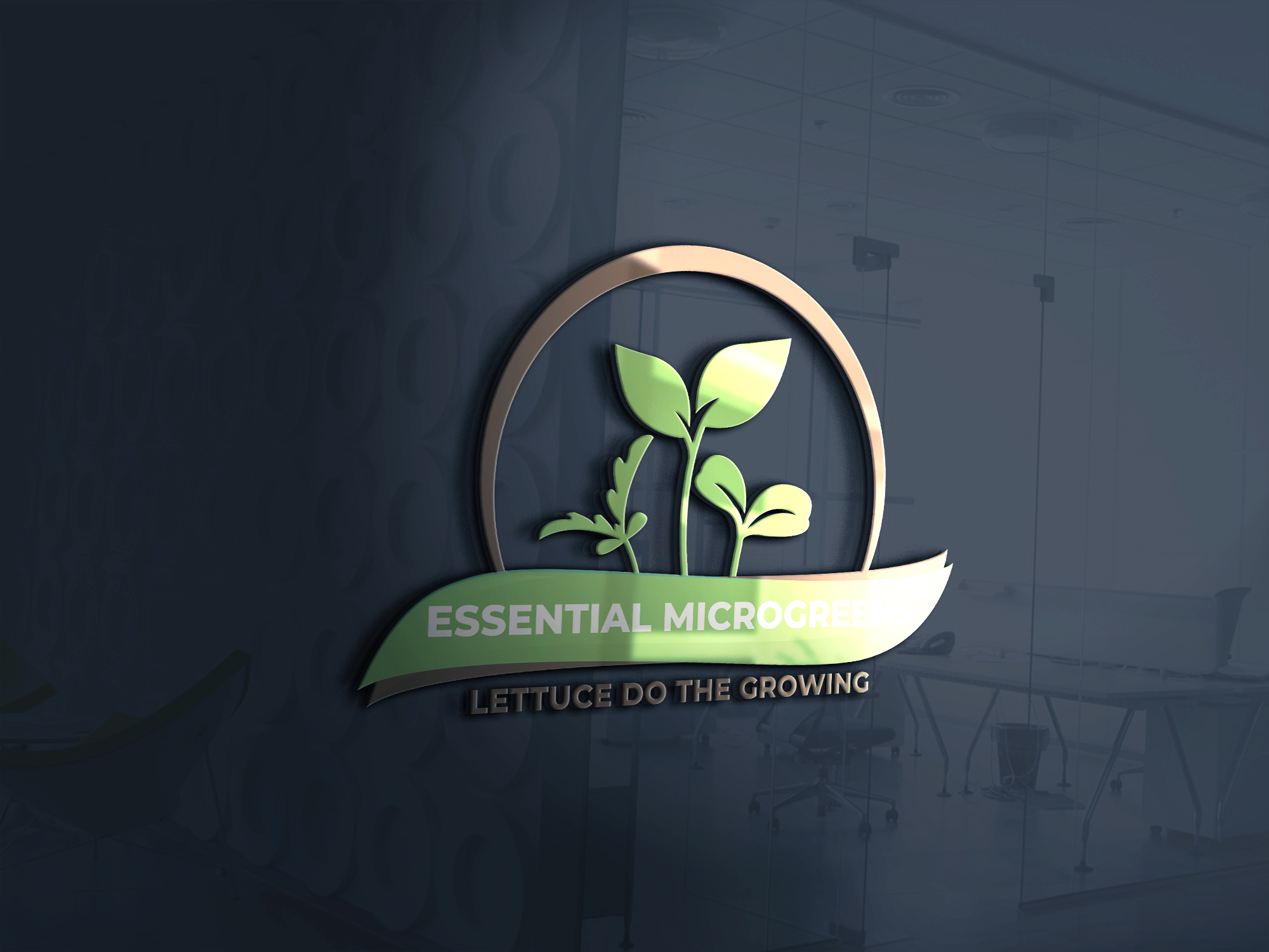 Logo Design by Nova Tech Solutions for this project | Design #24850793