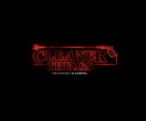 Cleaner Things for the main font with "pressure washing" somewhere small underneath | Logo Design by cheez_O