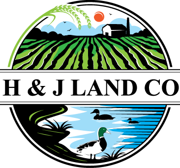 Logo Design by geni for this project | Design #24867826