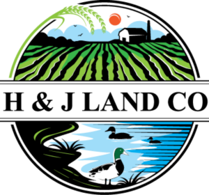 Logo-Design von geni für dieses Projekt | Design: #24867826