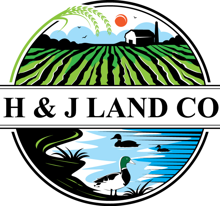 Logo Design by geni for this project | Design #24867827