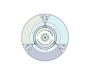 Logo Design by Neil for this project | Design: #24950591