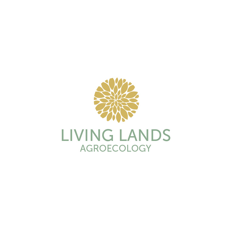 Logo Design by Design Possibilities for this project | Design #24874988
