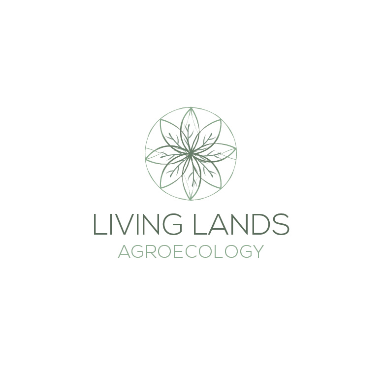 Logo Design by Design Possibilities for this project | Design #24893093