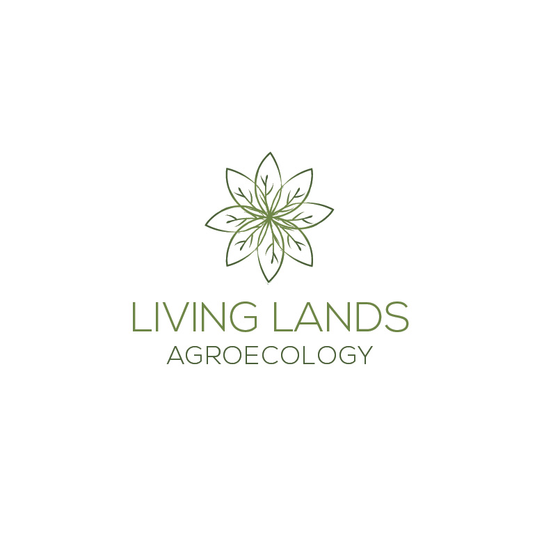 Logo Design by Design Possibilities for this project | Design #24893094