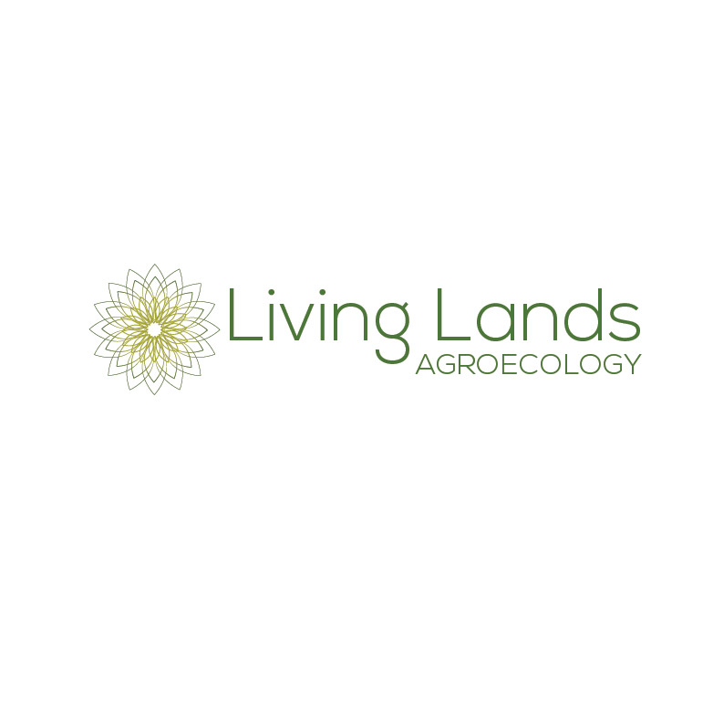 Logo Design by Design Possibilities for this project | Design #24911686