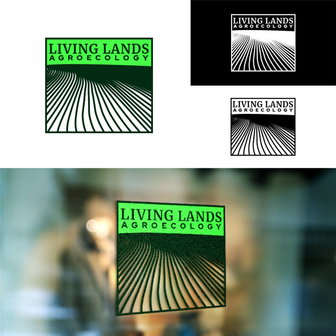Logo Design by Zahoor designs for this project | Design #24920461