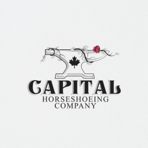Logo Design by Jahid Haider