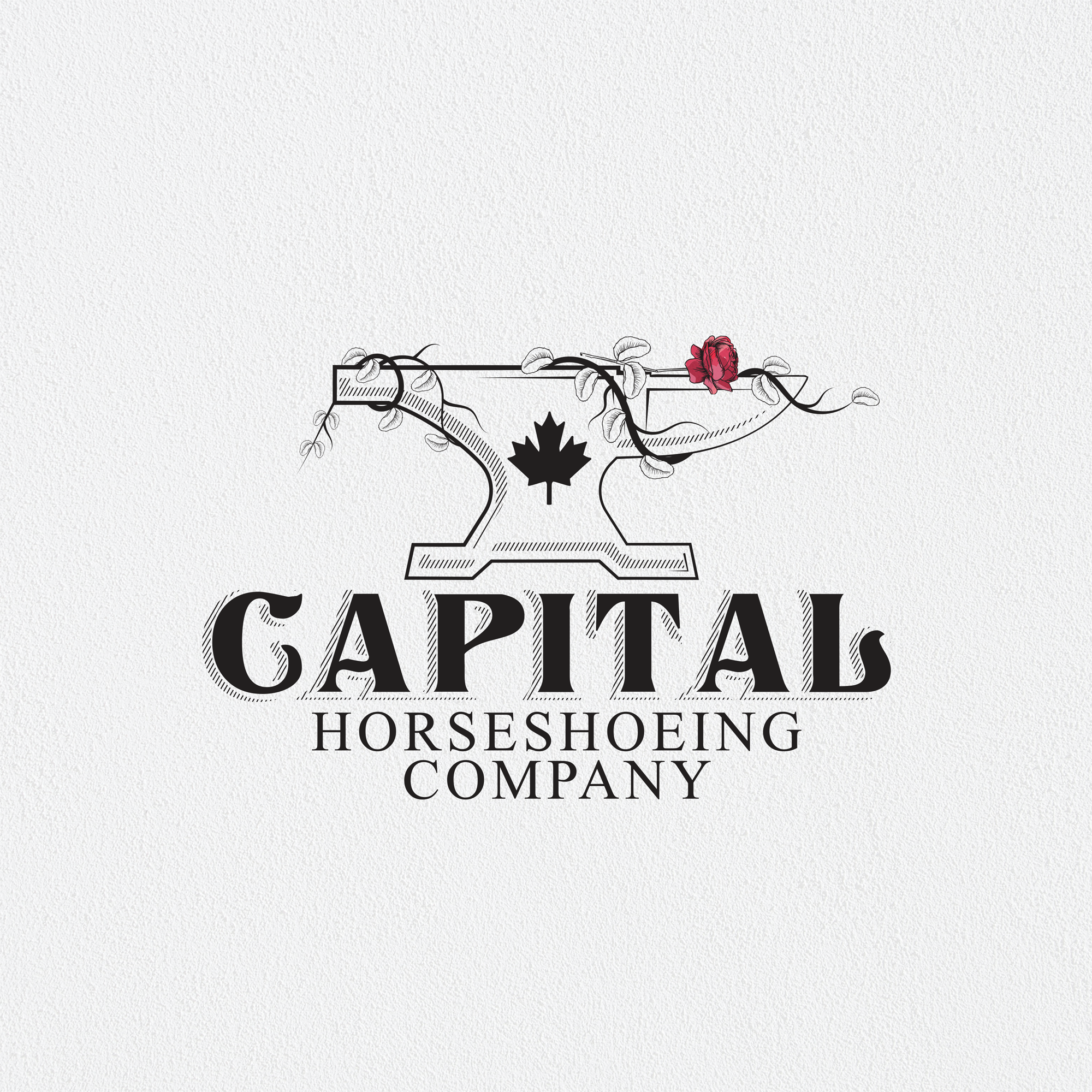 Logo Design by Jahid Haider for this project | Design #24854022
