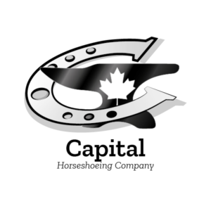 Logo Design by On-Point Design for this project | Design #24899800