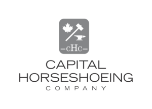 Logo Design by Wendy Elsie