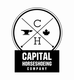 Logo Design by Wendy Elsie for this project | Design: #24902003